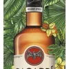 Bacardí Spiced met glas