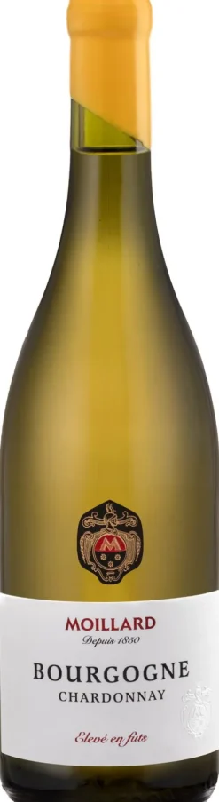 Moillard Bourgogne Chardonnay