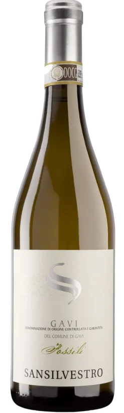 San Silvestro Gavi Fossili