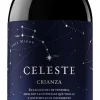 Torres Ribera del Duero Celeste Magnum